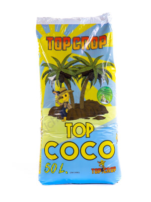 Top Coco