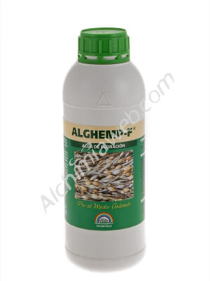 TRABE AlgHemp-F (Büte) - 1 L Algen