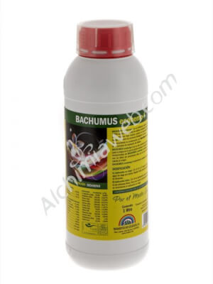 TRABE Bachumus Ecohemp-F (Blüte) - 1 L 