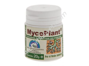 TRABE MycoPlant