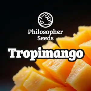 Tropimango -