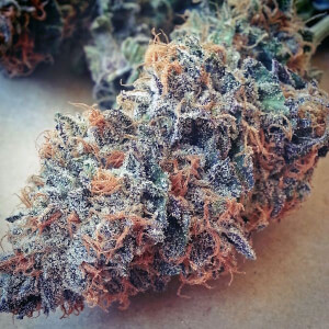 Ultimate Purple