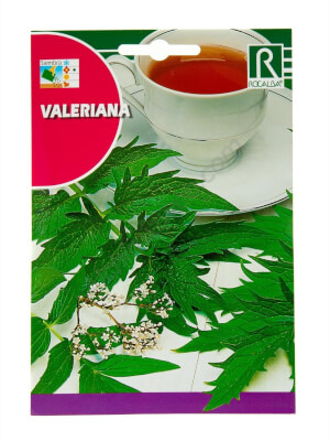 Valeriana - Rocalba