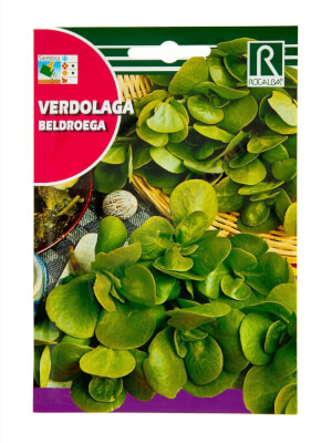 Rocalba Summer Purslane