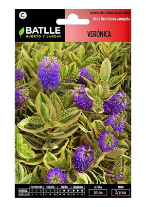 Veronica - Batlle