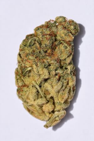 Wedding Cake - Big Head Seeds 