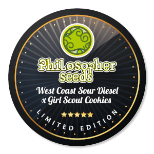 West Coast Sour Diesel x Girl Scout Cookies “Thin Mint”