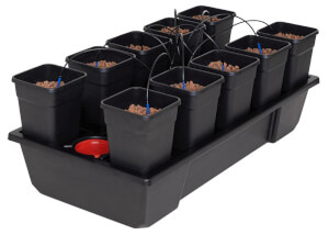 Wilma Small Wide V2 avec 10 pots de 6.5L