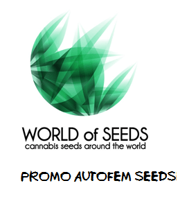 World of Seeds Auto Werbeprodukt