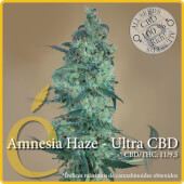 Amnesia Haze Ultra CBD