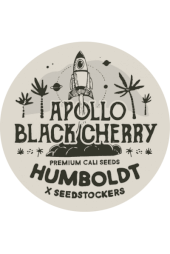 Apollo Black Cherry Regular, Humboldt line