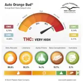 Auto Orange Bud