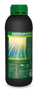 Bachumus Evolution - Grow 1L