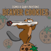 Beaver Cookies