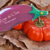 Chinesische rote bittere Aubergine - Kokopelli