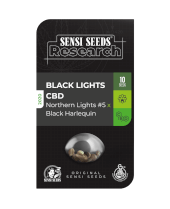 Black Lights CBD Auto 