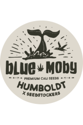 Blue Moby