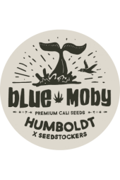 Blue Moby Regular, Humboldt line