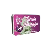Brain Damage
