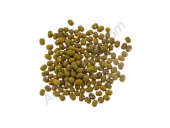 Organic Mung Bean Sprouts (Green soybean)