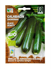 Rocalba - Bio-Zucchinisamen 'Black Beauty'