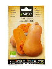 Batlle - Bio-Butternut-Kürbissamen 'Anquito'