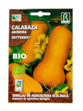Calabaza Butternut Bio de Rocalba