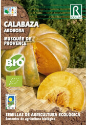 Calabaza Musquée de Provence Bio de Rocalba