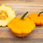 Orange Patisson Squash