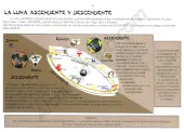 Calendario lunar cannabico