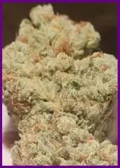 Candy Lime