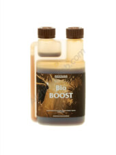 CANNA Bioboost  1 L