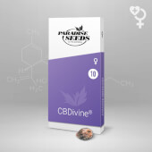 CBDivine