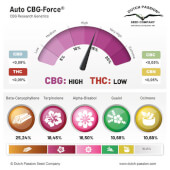 CBG-Force Auto