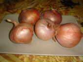 Organic Figueres Onion - Les Rafardes