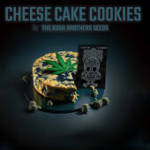Cheese Cake Cookies