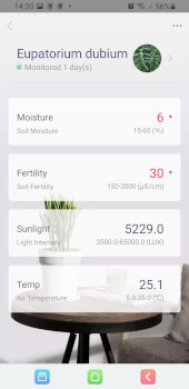 Control inteligente para plantas Xiaomi Flower Care