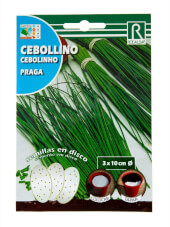 Rocalba Chive Praga Seeds Disc