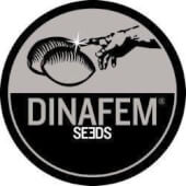 Edition Collectionneur 5 - Dinafem