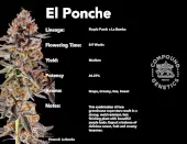 El Ponche