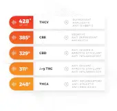 Firefly 2+