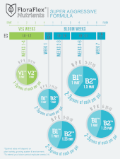 Floraflex Nutrients B2