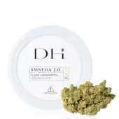 Flores de CBD Topshelf Amnesia 2.0 Hidro