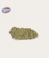 Fleurs de CBD Amnesia - Greenhouse