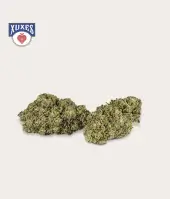 Flores de CBD Apple Jack Greenhouse