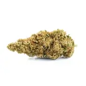 Bluecheese Greenhouse CBD-Blüten von Only CBD