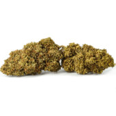 Fleurs de CBD Cherry Wine - Indoor