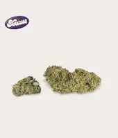 Flors de CBD Cookies Greenhouse