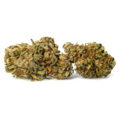 CBD Lemon Skunk Outdoor Flowers