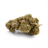 Flores de CBD Mango Haze Greenhouse de Only CBD
